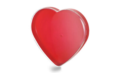 Medium-Sized Amour Box